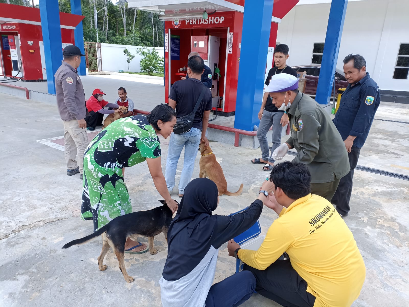 Vaksinasi rabies di kec.kelumpang hulu dan pamukan barat