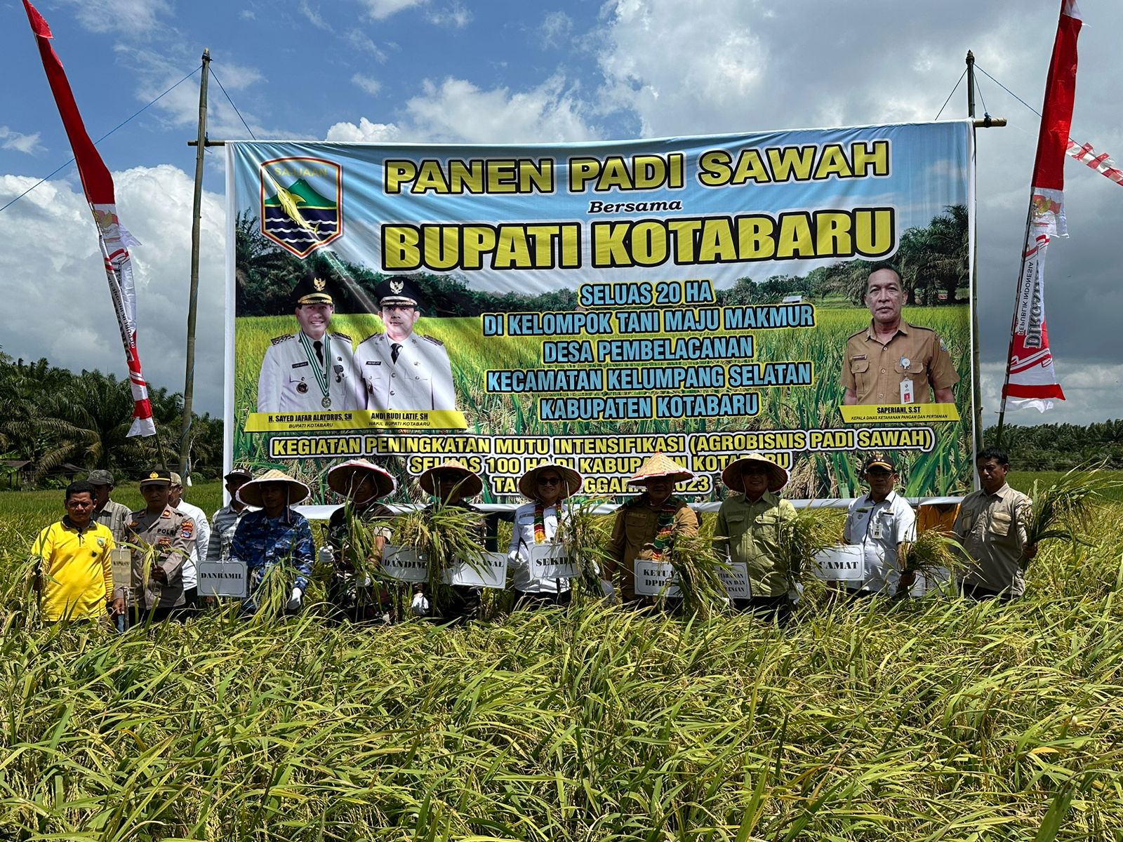 Sinergi Dinas Ketahanan Pangan dan Pertanian Membangun Ketahanan Pangan Melalui Panen Padi Sawah dan Peningkatan Mutu Intensifikasi Pertanian di Kabupaten Kotabaru