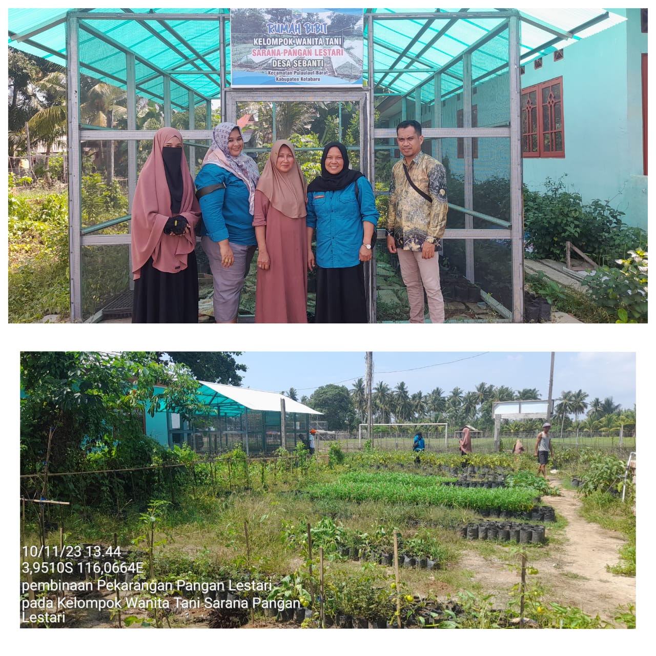 Upaya Dinas Ketahanan Pangan dan Pertanian dalam Meningkatkan Ketahanan Pangan Melalui Pekarangan Pangan Lestari