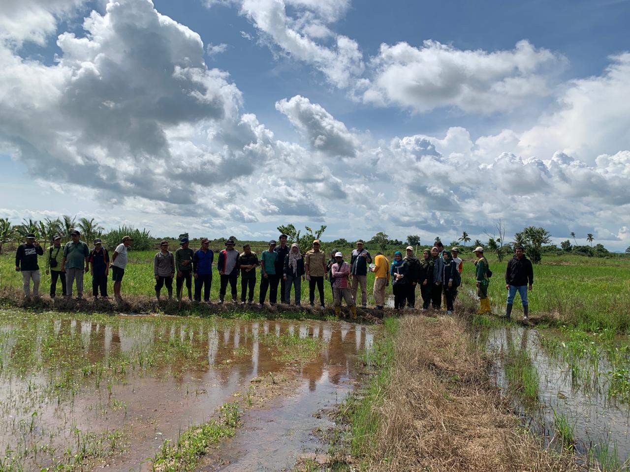 (GERDAL OPT) Tikus secara bersamaan di beberapa kelompok tani, seperti Kelompok Tani Berkat Usaha Mandiri, Maju Bersama, Handil Karya, Melati, dan Pajar Ramadan, yang berada di Desa Berangas Kecamatan Pulaulaut Timur