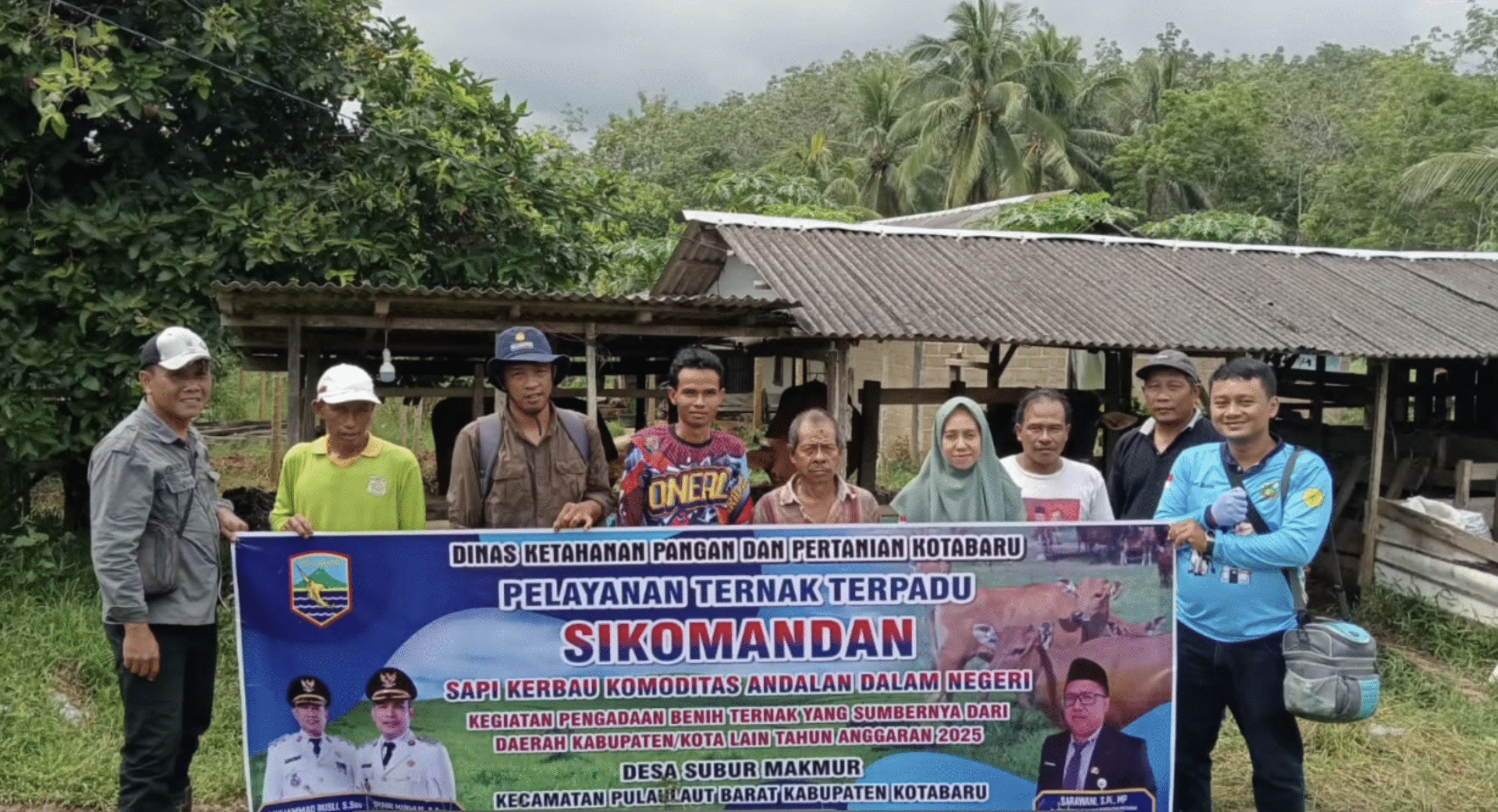 Pelayanan Ternak Terpadu Sikomandan di desa Subur Makmur Kec. Pulaulaut Barat